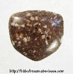 Crinoid Fossil Cabochon