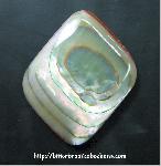 Abalone Shell Cabochon