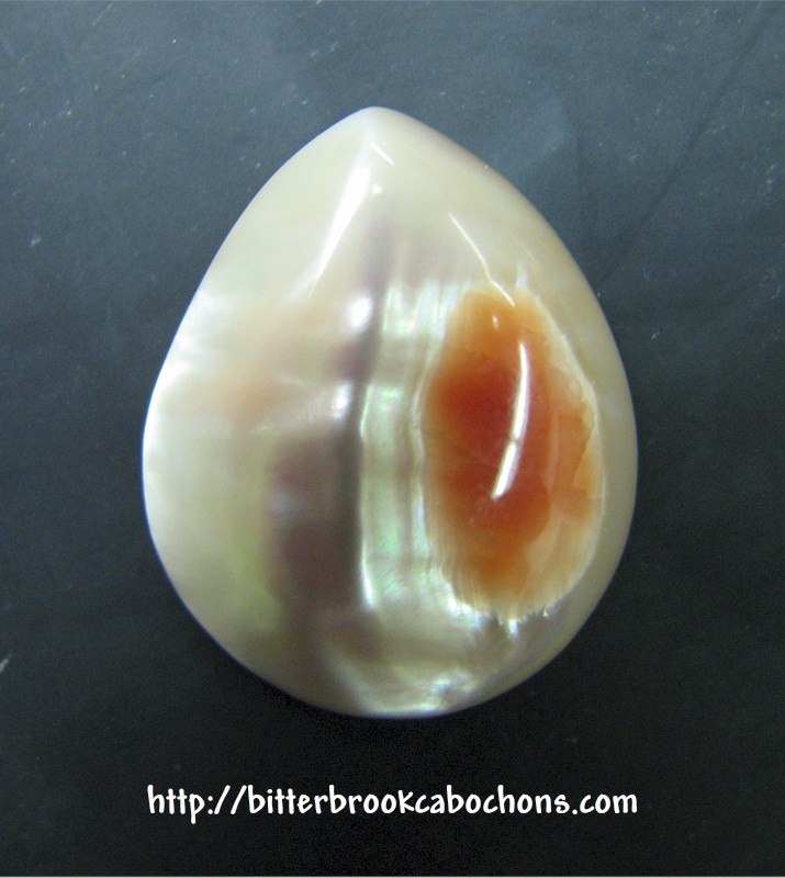 Abalone Shell Cabochon