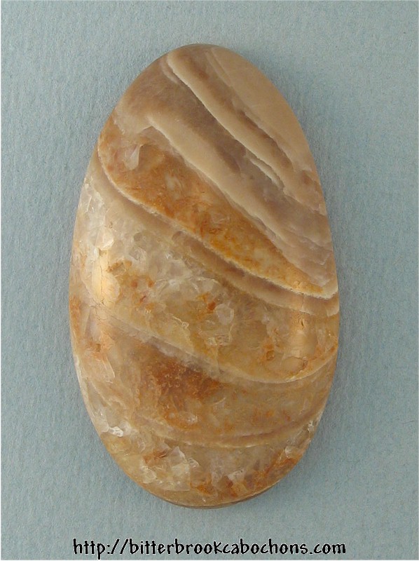Agatized Seashell