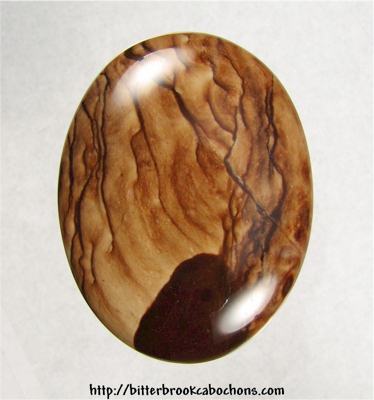 Biggs Canyon Jasper Cabochon