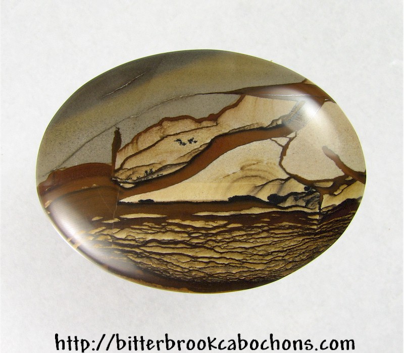 Deschutes Picture Jasper Cabochon