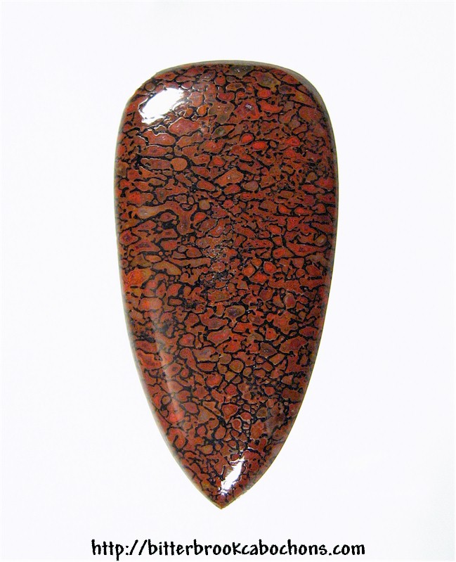 Dinosaur Bone Cabochon