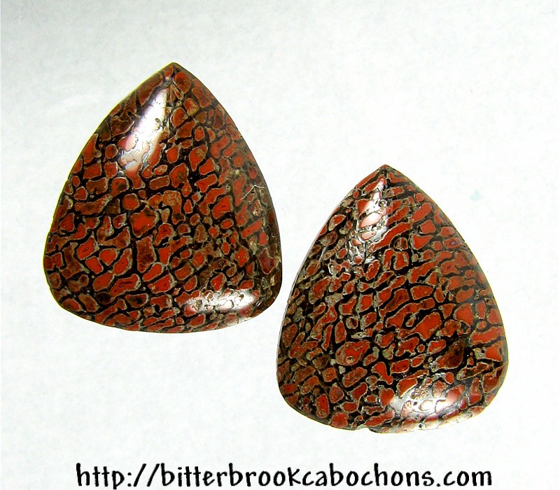 Dinosaur Bone Cabochons