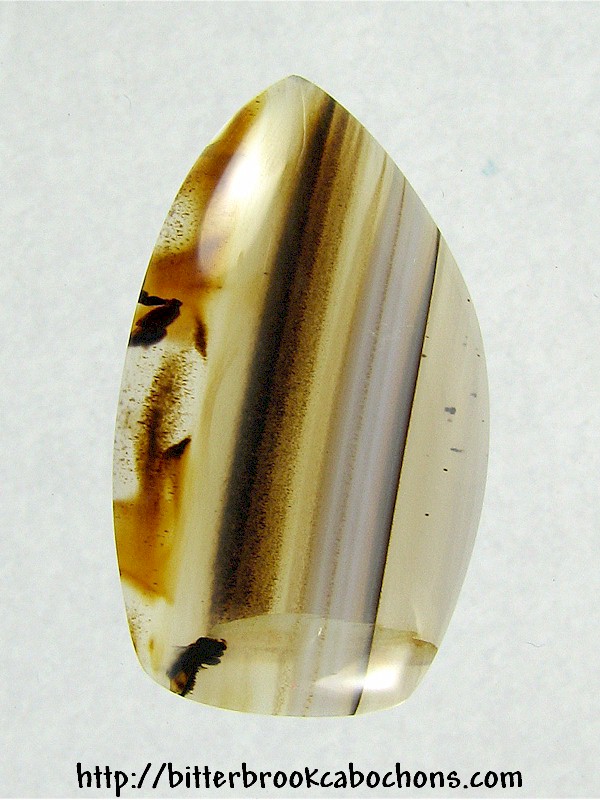 Montana Agate Cabochon