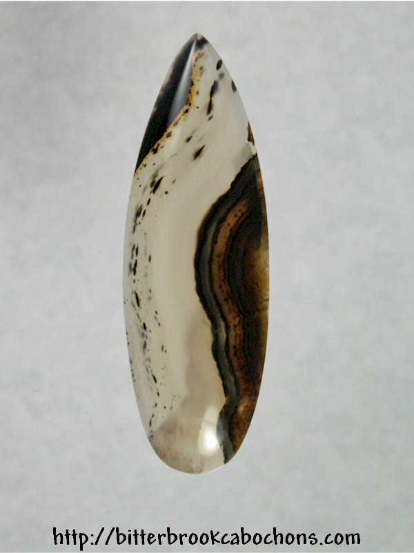 Montana Agate Cabochon