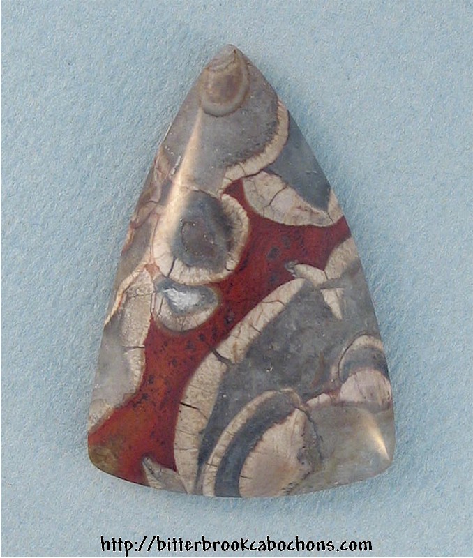 Mushroom Jasper