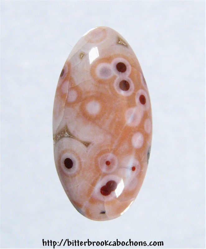 Ocean Jasper Cabochon