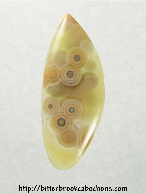 Ocean Jasper Cabochon