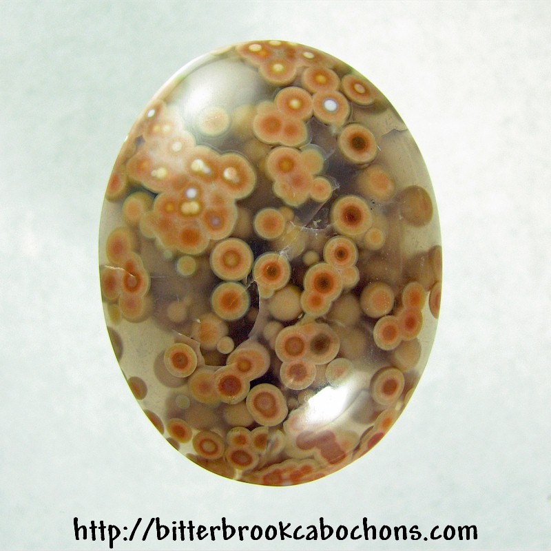 Ocean Jasper Cabochon