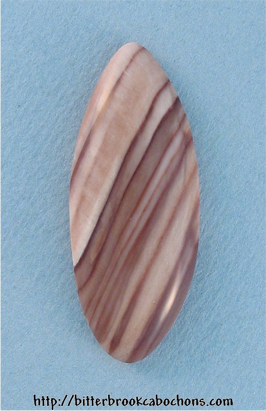 Petrified Wood