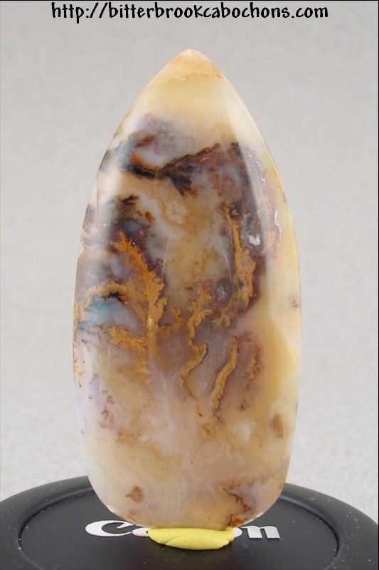 Plume Agate