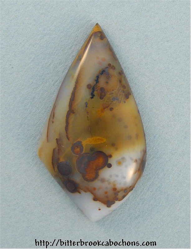 Polkadot Jasper