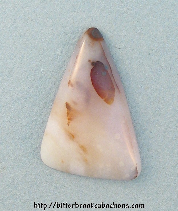 Polkadot Jasper