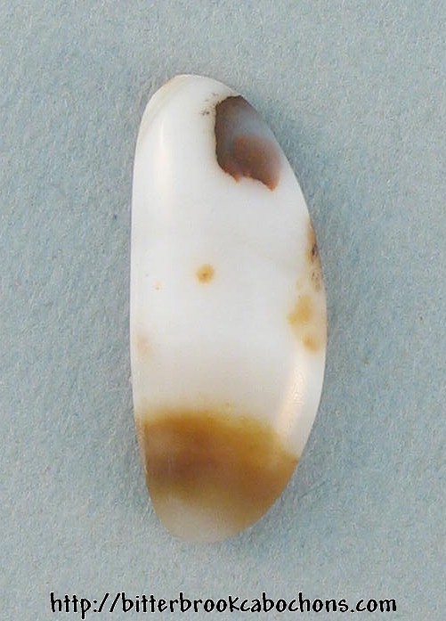 Polkadot Jasper