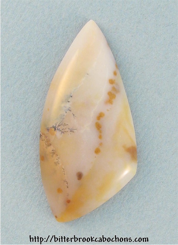 Polkadot Jasper